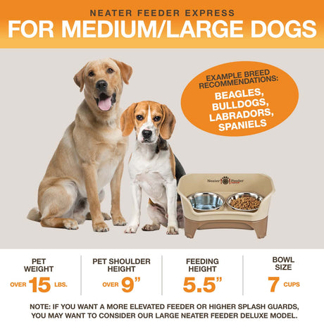 A diagram with sizing information for the medium to large EXPRESS Neater Feeder with Stainless Steel bowls. The picture displays the ideal pet weight, shoulder height, and the feeding height and bowl capacity.