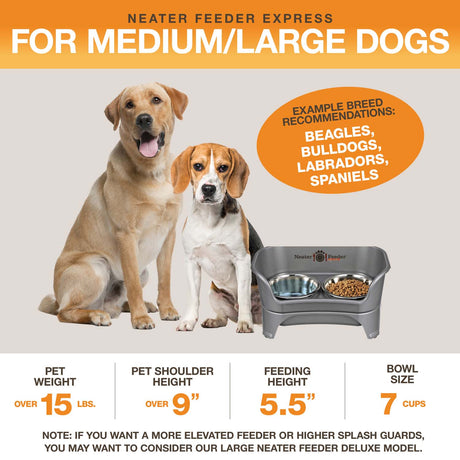 A diagram with sizing information for the medium to large EXPRESS Neater Feeder with Stainless Steel bowls. The picture displays the ideal pet weight, shoulder height, and the feeding height and bowl capacity.