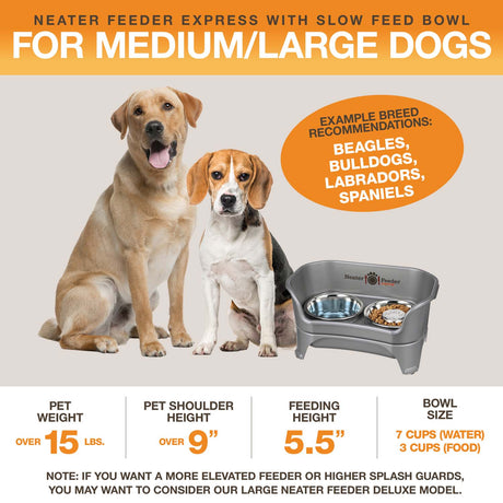 A diagram with sizing information for the medium to large EXPRESS Neater Feeder with Stainless Steel Slow Feed Bowl. The picture displays the ideal pet weight, shoulder height, and the feeding height and bowl capacity.