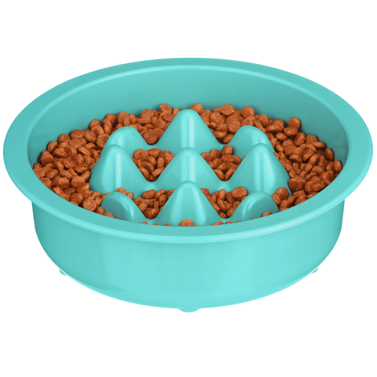 The Niner in Aqua with kibble inside the feeder against a white background.