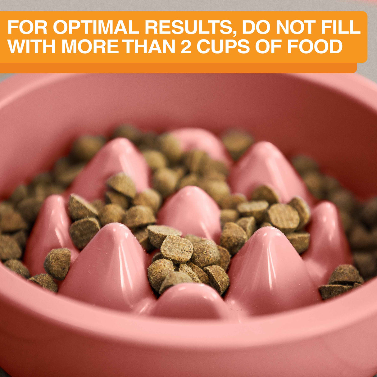 Close up of The Niner with 2 cups of food. Text mentions not to fill the Niner bowl with more than 2 cups of food.