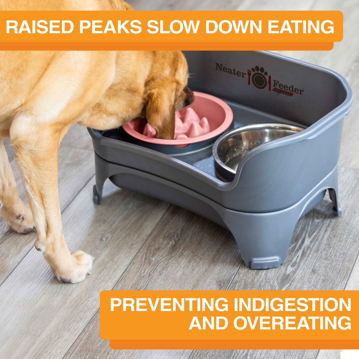 The Niner Slow Feed Bowl inside of the Express Medium to Large Express Neater Feeder with dog eating from the bowl. Text mentions that the bowl prevents indigestion and overeating.