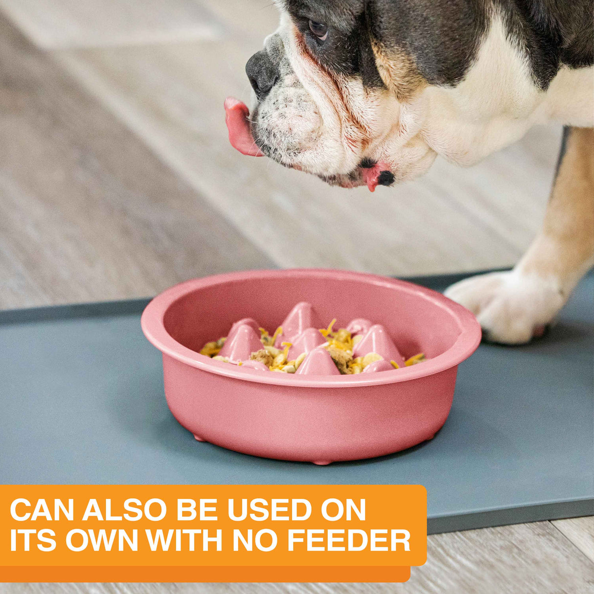 The Niner Slow Feed Bowl placed on a mat with a dog eating from it. The photo shows that it can be used on its own with no feeder.