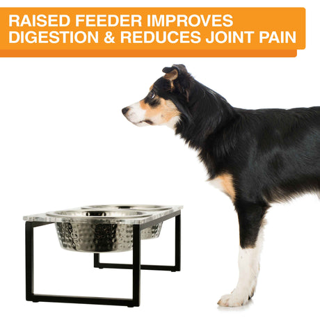 Image of a dog next to the acrylic feeder. Text on screen reads: Raised feeder improves digestion and reduces joint pain.