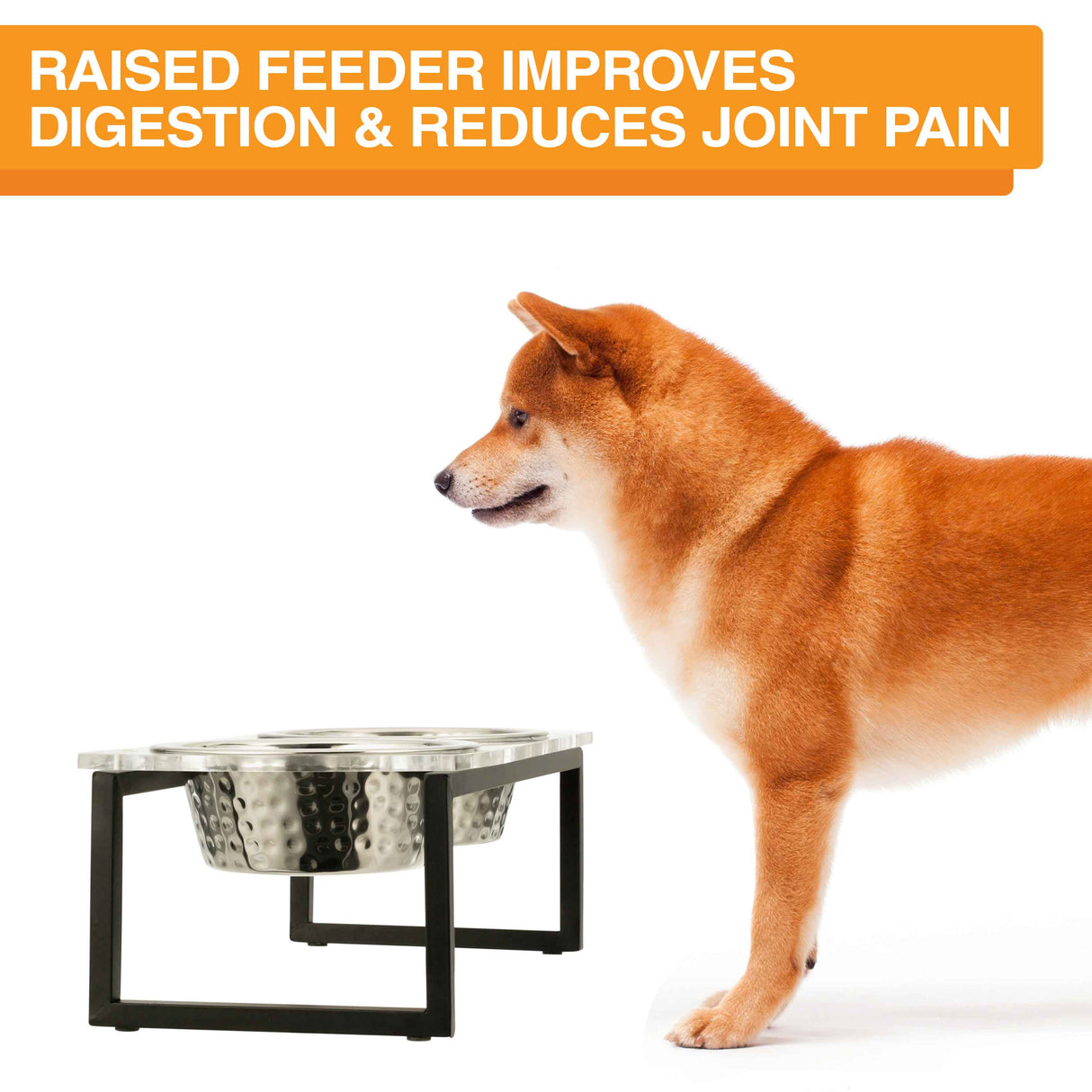 Image of a dog next to the acrylic feeder. Text on screen reads: Raised feeder improves digestion and reduces joint pain.