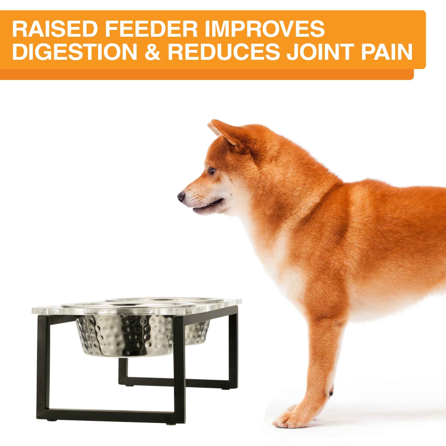 Image of a dog next to the acrylic feeder. Text on screen reads: Raised feeder improves digestion and reduces joint pain.