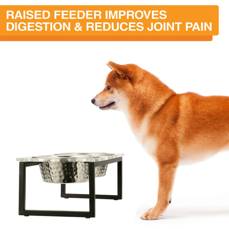 Image of a dog next to the acrylic feeder. Text on screen reads: Raised feeder improves digestion and reduces joint pain.