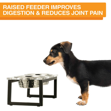 Image of a dog next to the acrylic feeder. Text on screen reads: Raised feeder improves digestion and reduces joint pain.