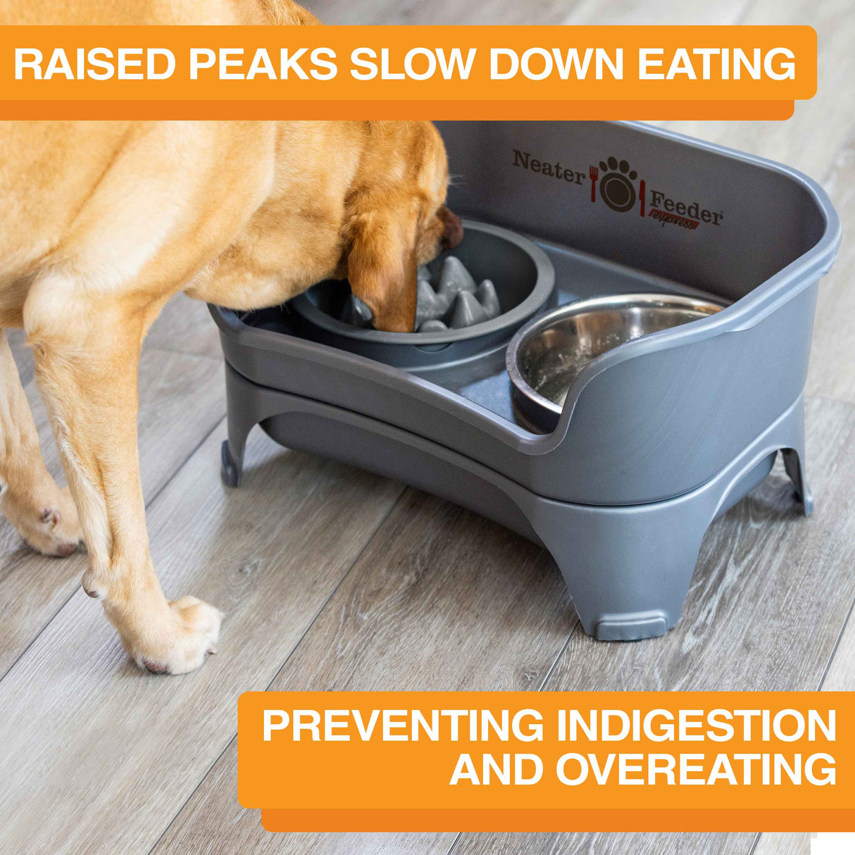 The Niner Slow Feed Bowl inside of the Express Medium to Large Express Neater Feeder with dog eating from the bowl. Text mentions that the bowl prevents indigestion and overeating.
