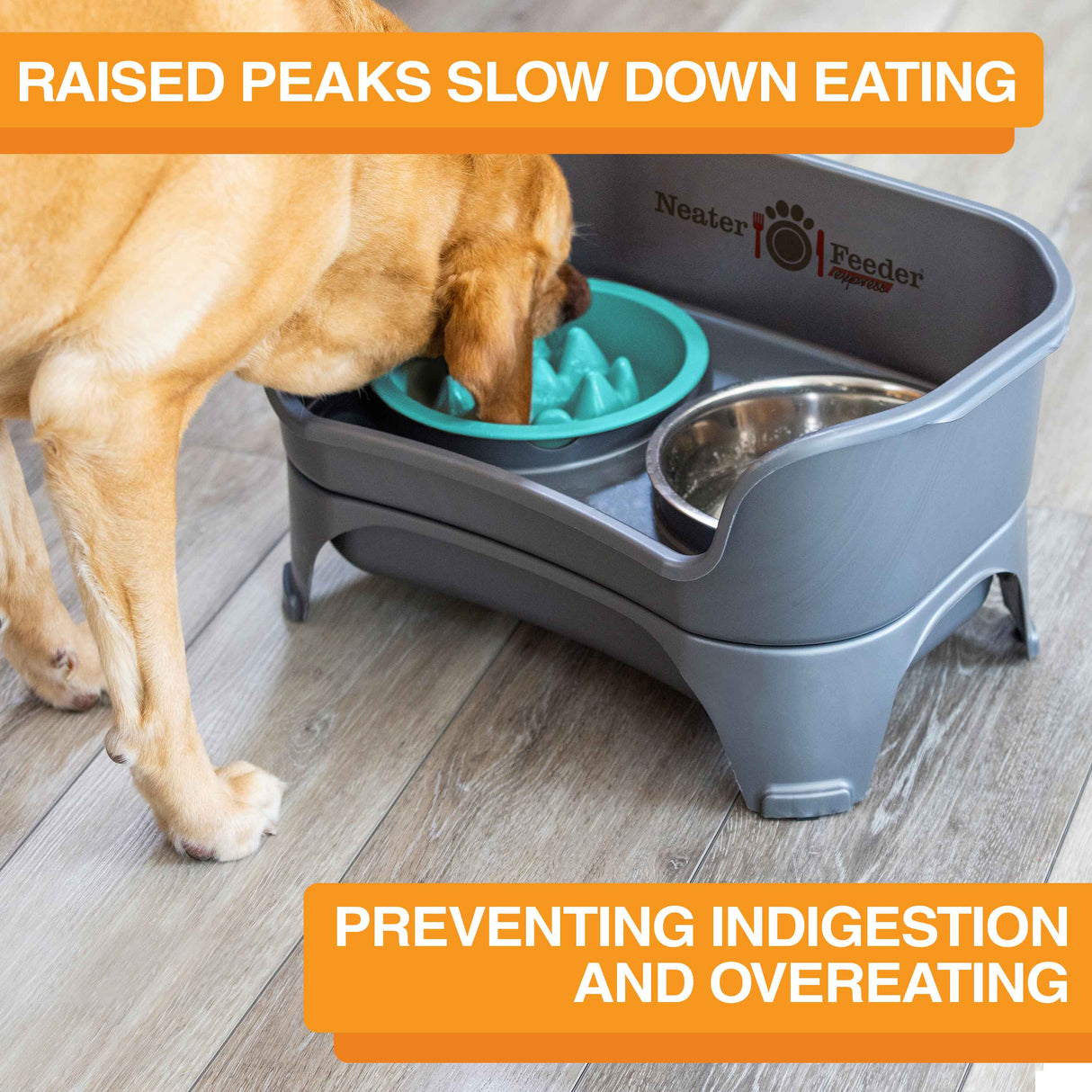 The Niner Slow Feed Bowl inside of the Express Medium to Large Express Neater Feeder with dog eating from the bowl. Text mentions that the bowl prevents indigestion and overeating.