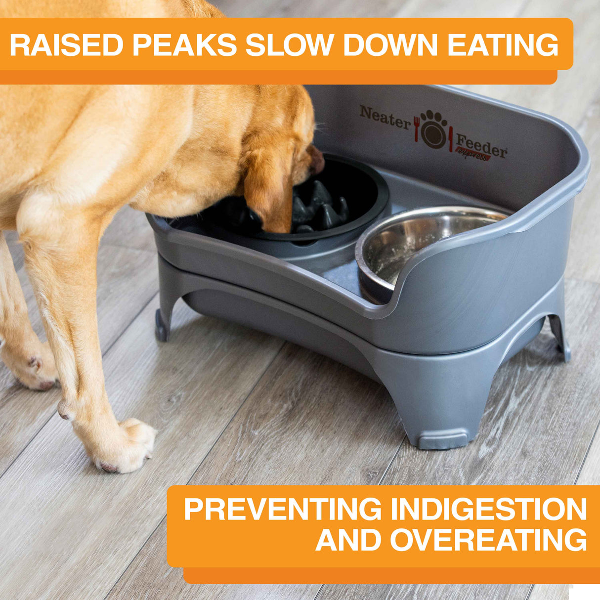 The Niner Slow Feed Bowl inside of the Express Medium to Large Express Neater Feeder with dog eating from the bowl. Text mentions that the bowl prevents indigestion and overeating.
