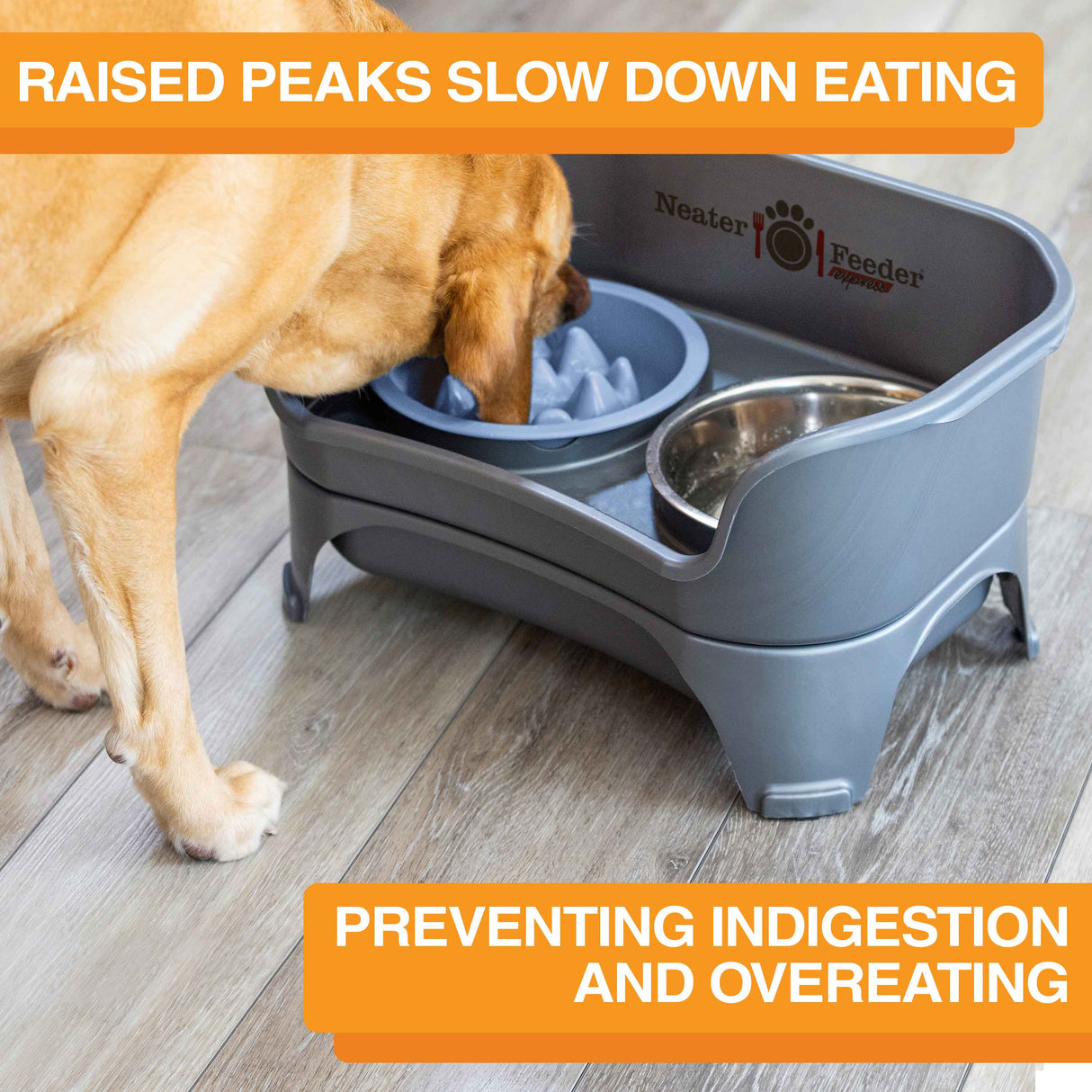 The Niner Slow Feed Bowl inside of the Express Medium to Large Express Neater Feeder with dog eating from the bowl. Text mentions that the bowl prevents indigestion and overeating.