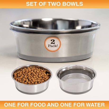 Set of two stainless steel bowls for food and water with pet food and water on a white background.