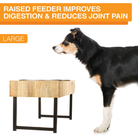 Image of a dog next to the wooden feeder. Text on screen reads: Raised feeder improves digestion and reduces joint pain.