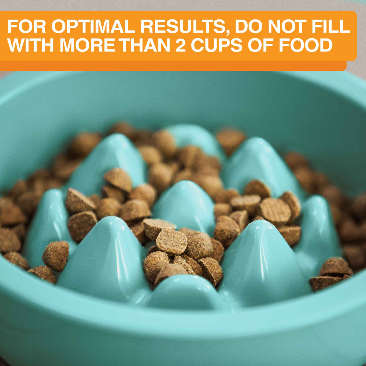 Close up of The Niner with 2 cups of food. Text mentions not to fill the Niner bowl with more than 2 cups of food.