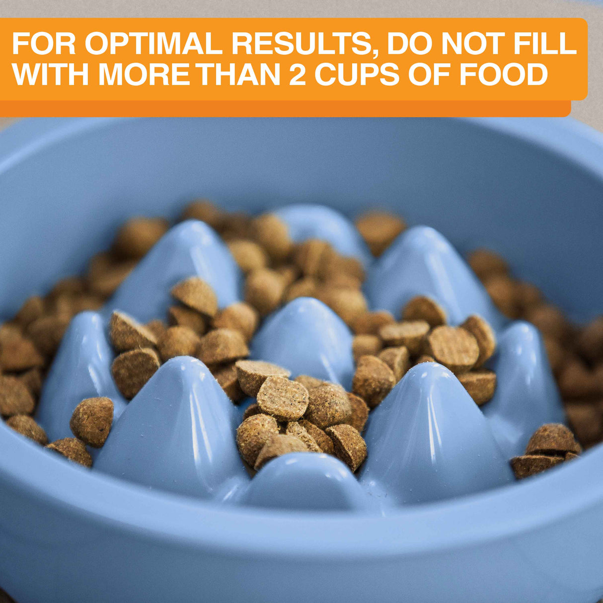 Close up of The Niner with 2 cups of food. Text mentions not to fill the Niner bowl with more than 2 cups of food.