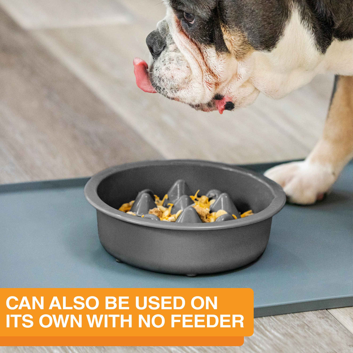 The Niner Slow Feed Bowl placed on a mat with a dog eating from it. The photo shows that it can be used on its own with no feeder.