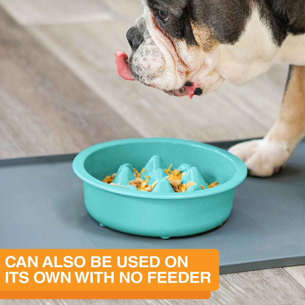 The Niner Slow Feed Bowl placed on a mat with a dog eating from it. The photo shows that it can be used on its own with no feeder.