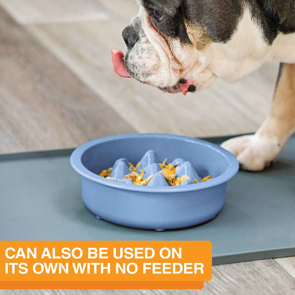 The Niner Slow Feed Bowl placed on a mat with a dog eating from it. The photo shows that it can be used on its own with no feeder.