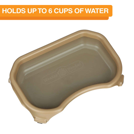 Small Little Big Bowl Cat in Champagne with water