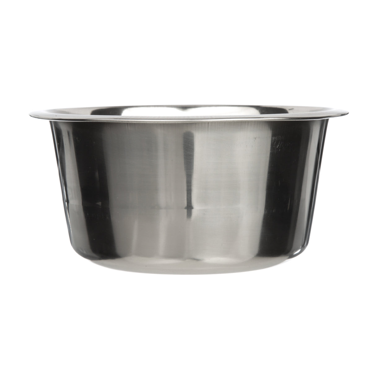 Stainless Steel Bowl side view