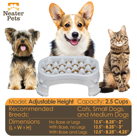 Chart displaying the water and food capacity for the Raised 2.5 cup Neater Slow Feeder and the dimensions with a medium dog, a small-sized dog, and a cat next to it.
