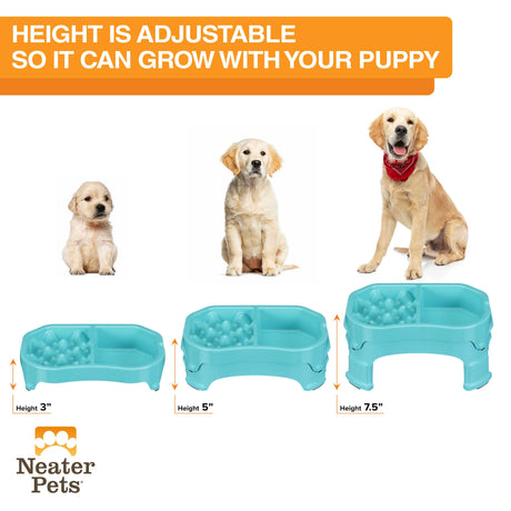 A diagram of a puppy, a young dog, and an adult dog next to the double diner in its different height adjustments, showing that it can grow with your dog.