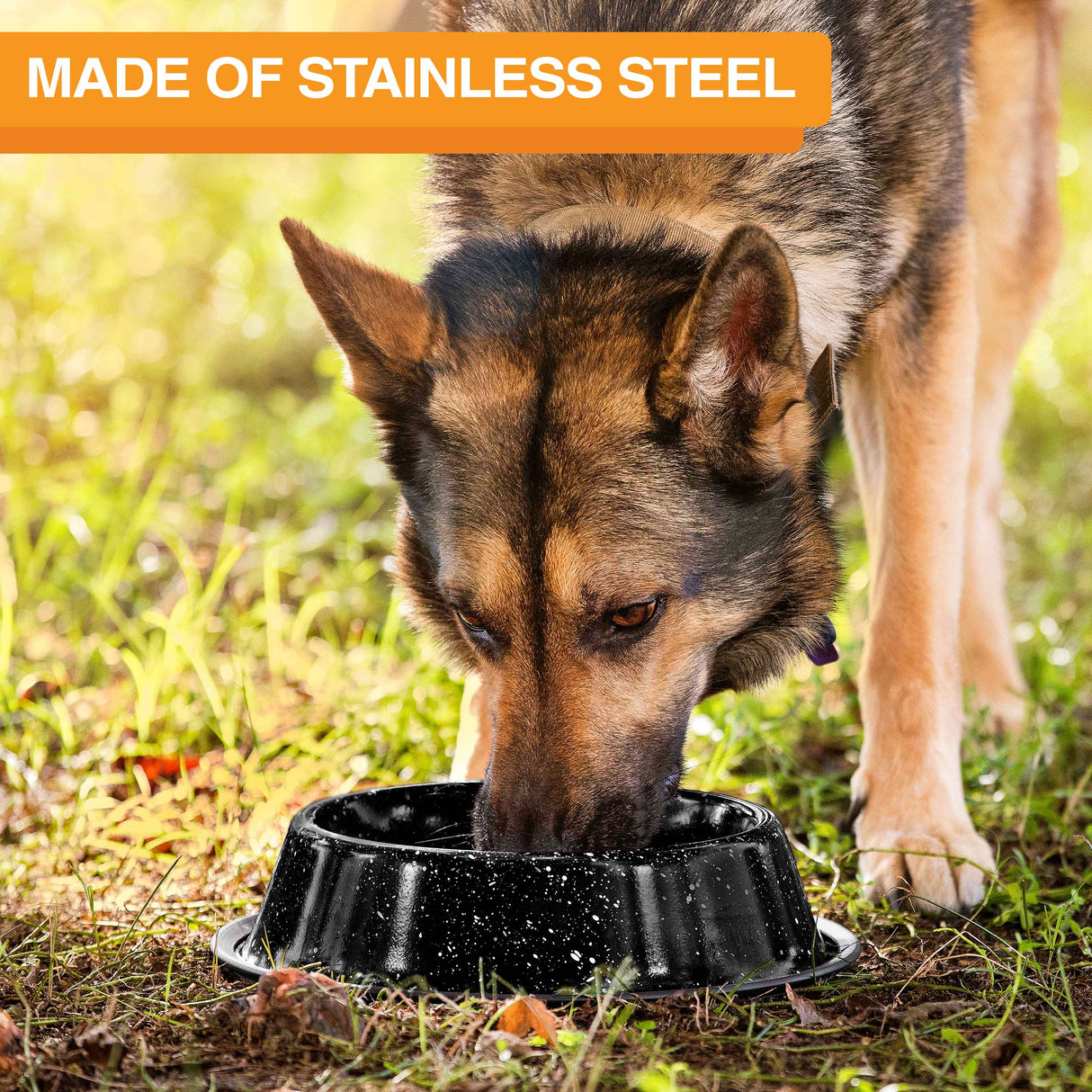 Image of a dog eating from the camping bowl outside in the grass. Text on screen reads: Made of stainless steel.