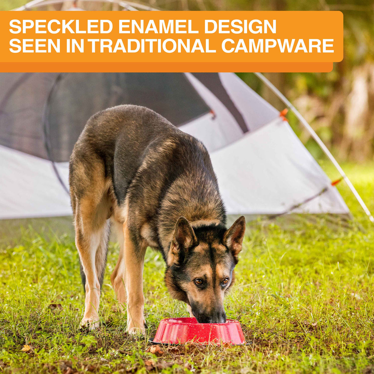 Image of a large dog eating from a camping bowl in the grass. The text on the screen reads: Speckled enamel design, seen in traditional campware.