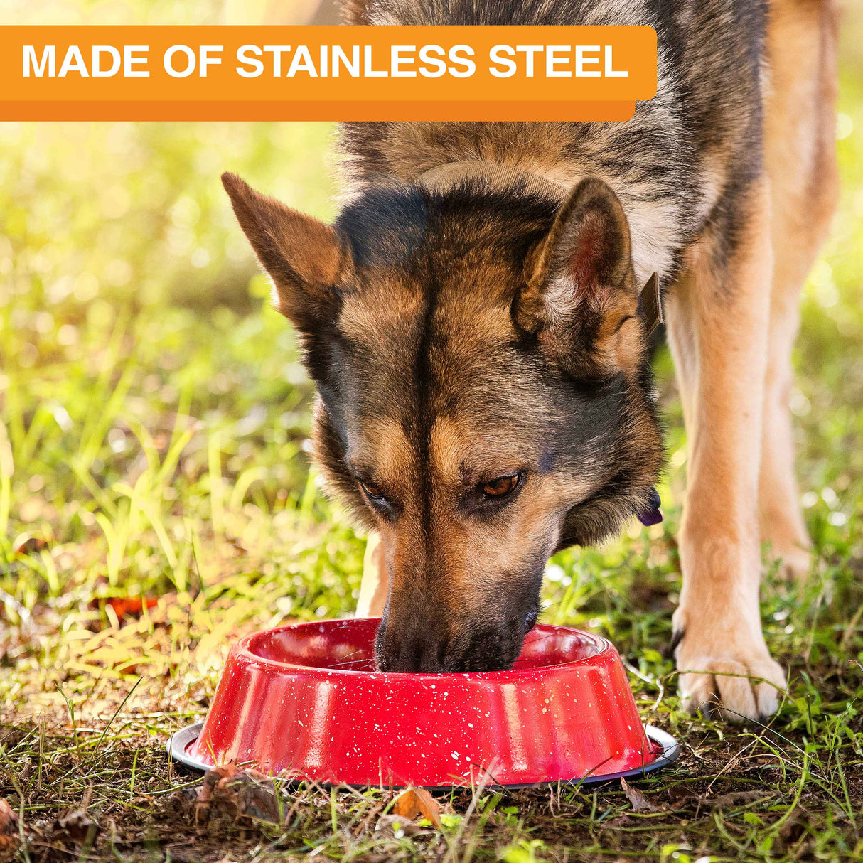 Image of a dog eating from the camping bowl outside in the grass. Text on screen reads: Made of stainless steel.