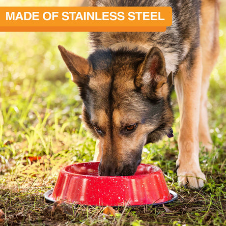 Image of a dog eating from the camping bowl outside in the grass. Text on screen reads: Made of stainless steel.