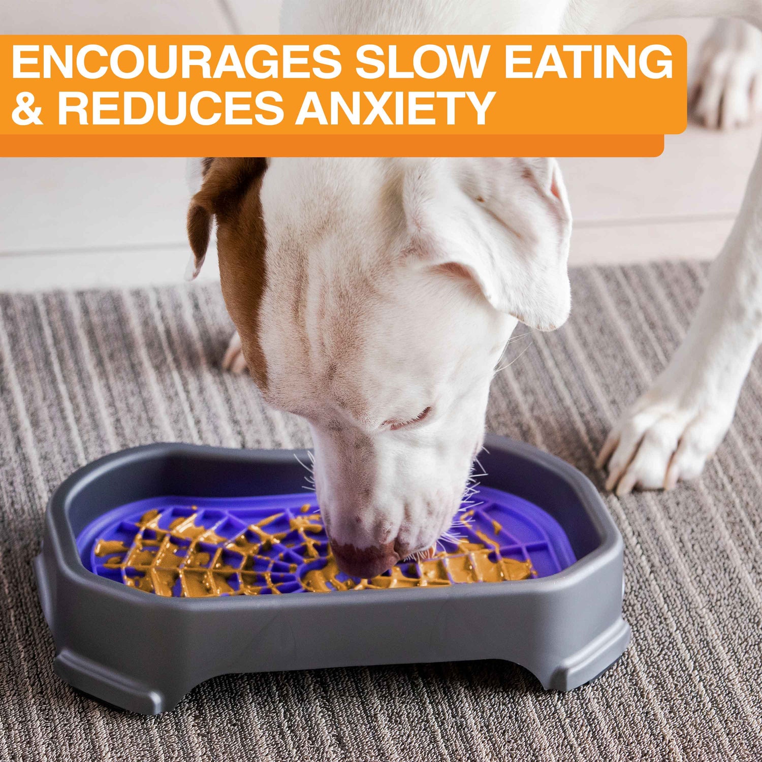 Dog licking peanut butter from the purple Neat-Lik Mat Slow Feed Licking Mat with text that reads "Encourages slow eating and reduces anxiety."