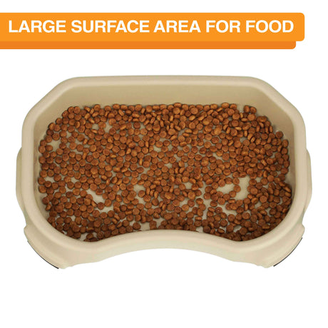 Small Little Big Bowl in Champagne with dog food inside