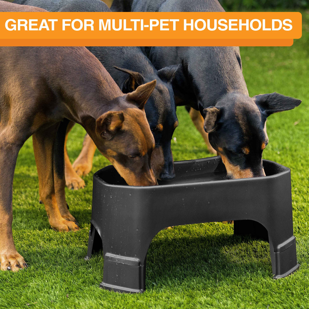 Giant bowl great for houses with multiple pets