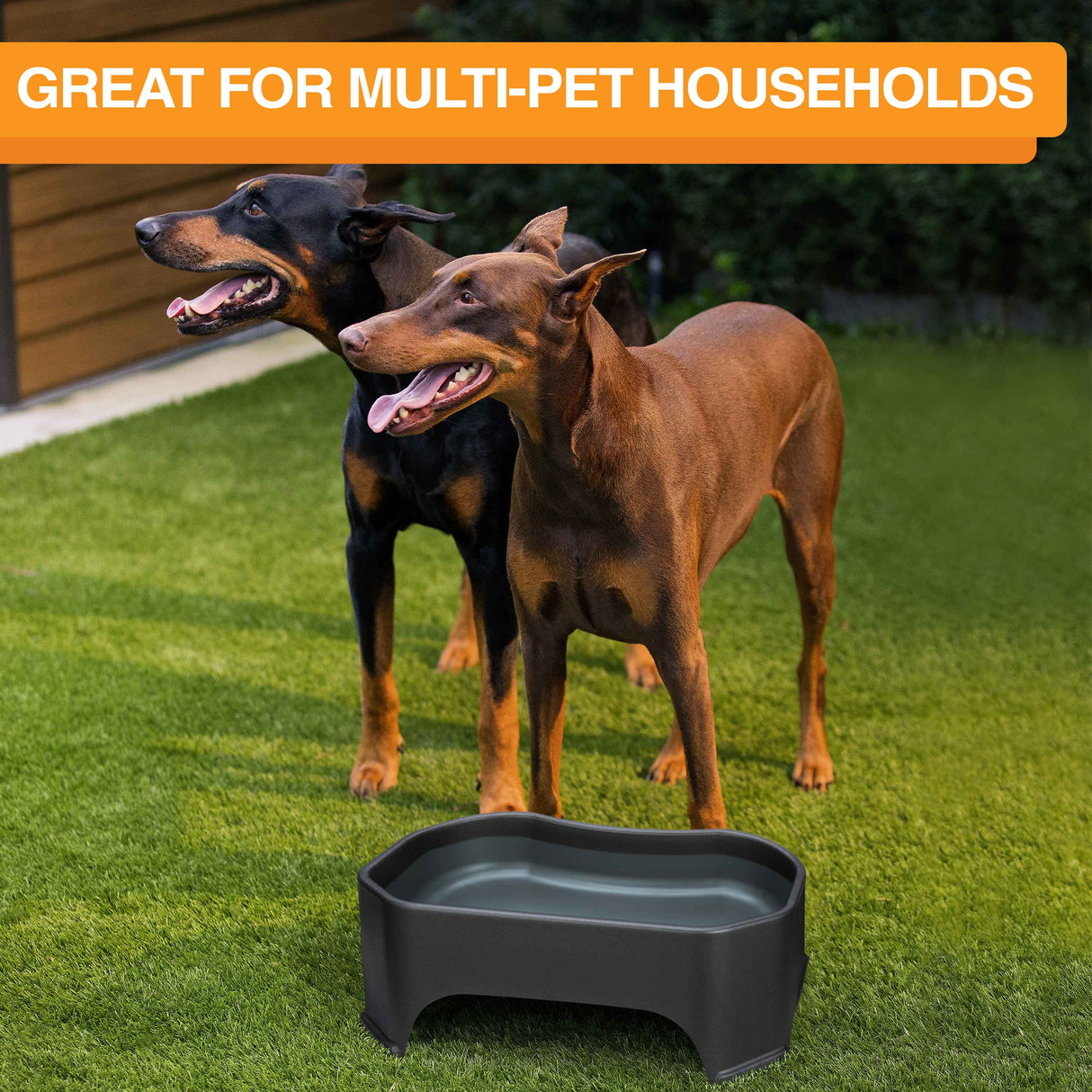 Giant bowl great for houses with multiple pets
