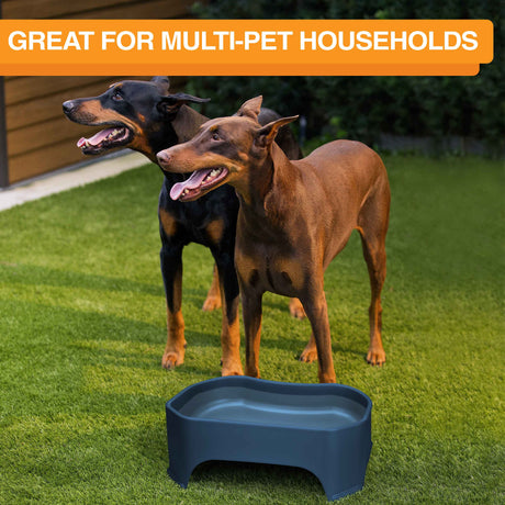 Giant bowl great for houses with multiple pets