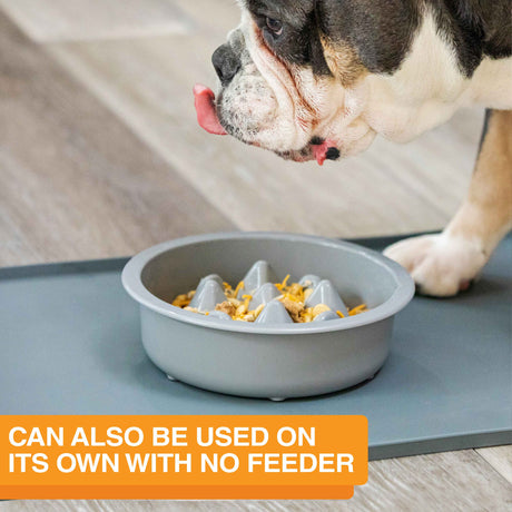 The Niner Slow Feed Bowl placed on a mat with a dog eating from it. The photo shows that it can be used on its own with no feeder.
