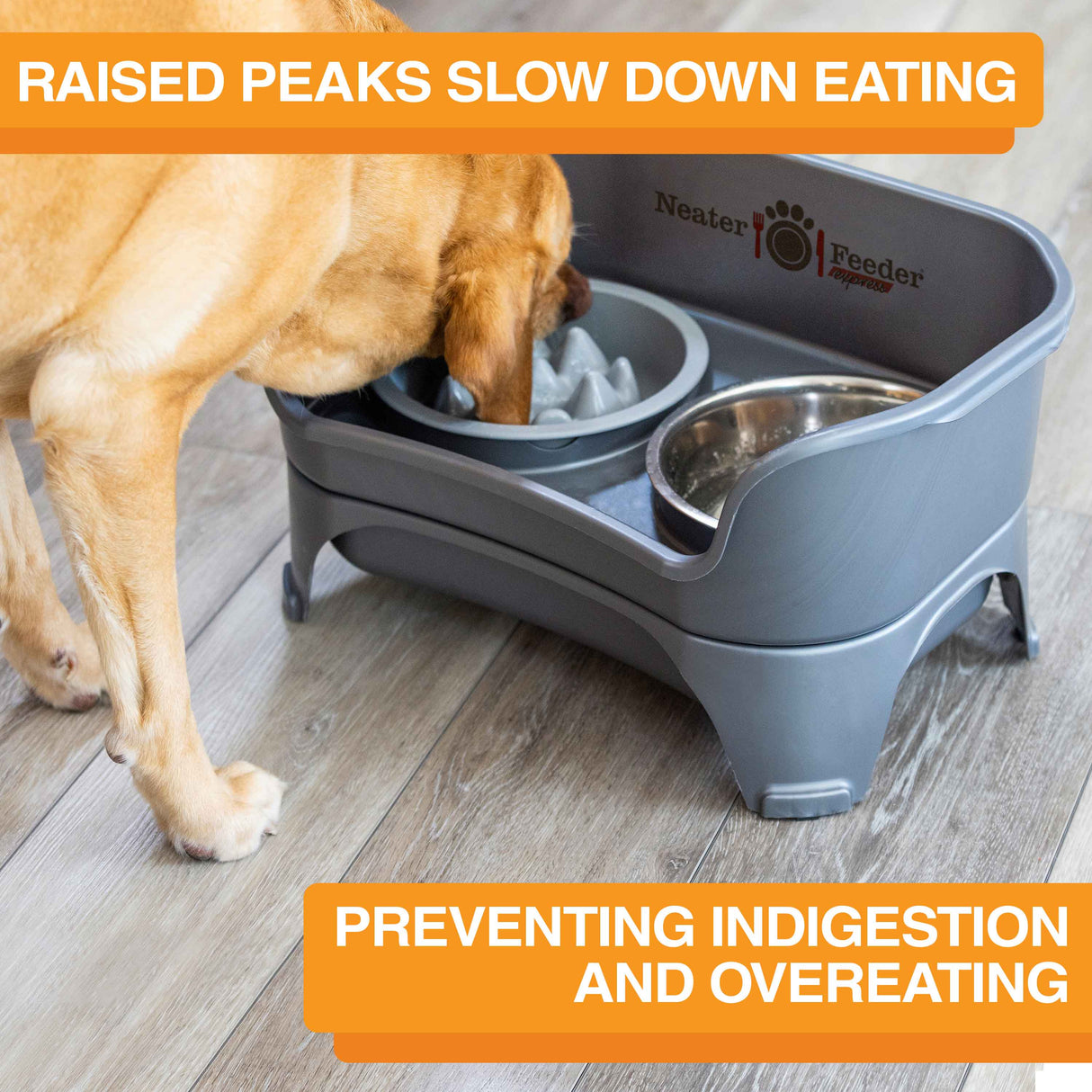 The Niner Slow Feed Bowl inside of the Express Medium to Large Express Neater Feeder with dog eating from the bowl. Text mentions that the bowl prevents indigestion and overeating.