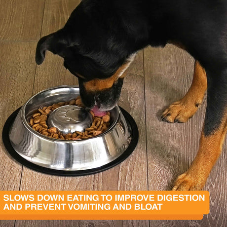 Dog eating out of Non-Tip Stainless Steel Slow Feed Bowl. Text on screen reads: Slow down eating to improve digestion and prevent vomiting and bloat.