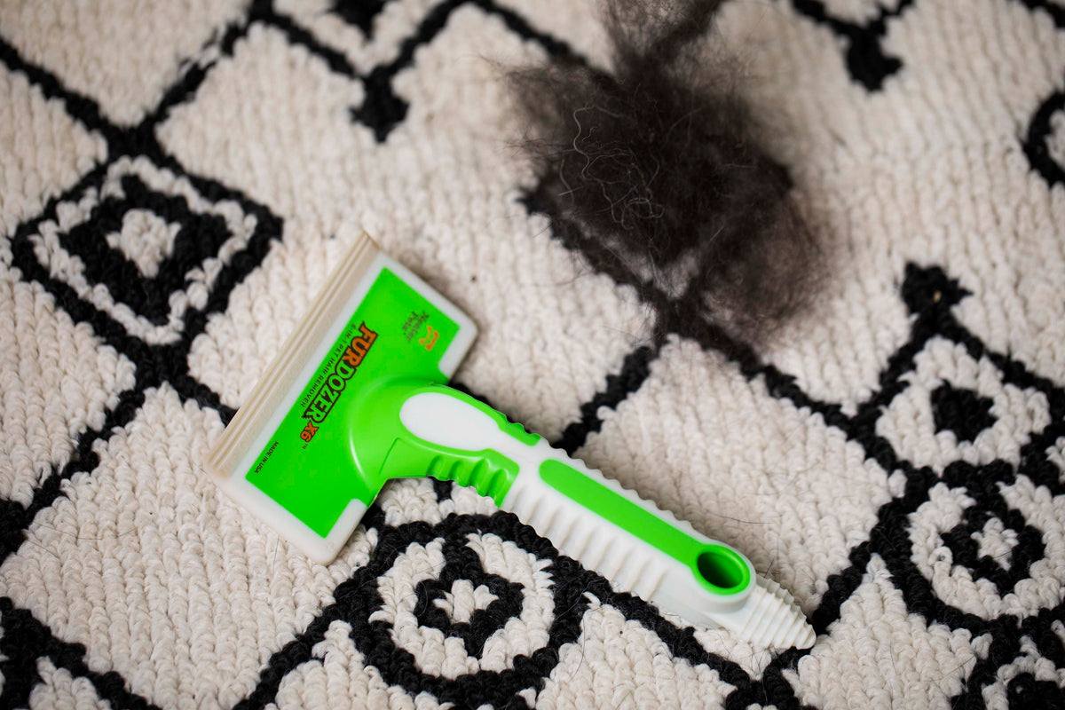 Pet Hair Everywhere? 7 Tips for Cleaning Up Pet Hair Neater Pets