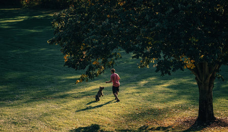 Person playing with their dog outside