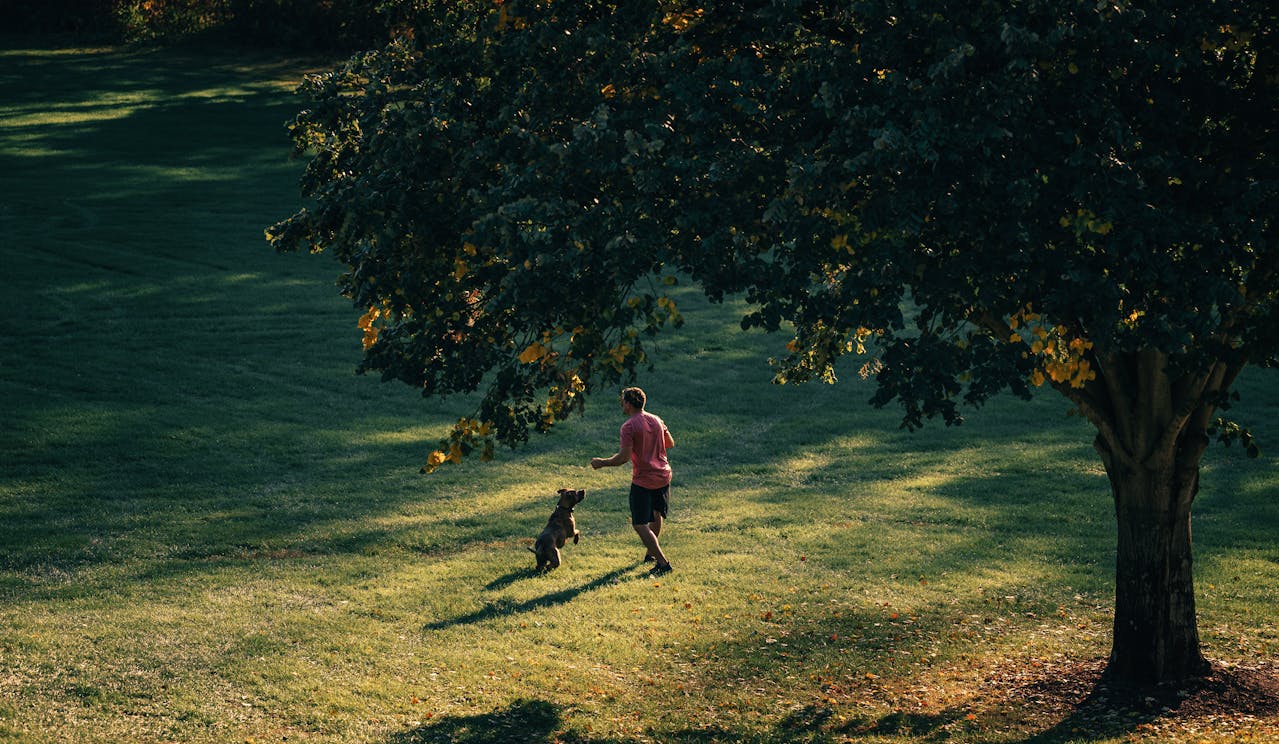 Person playing with their dog outside