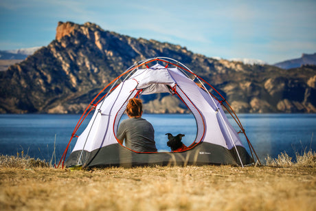 Dog and owner in tent