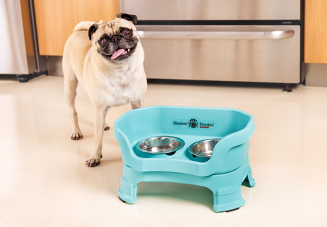 A Pug next to a Neater Feeder
