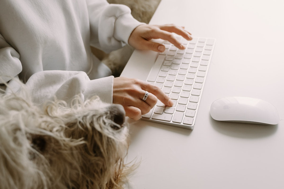Dog and human on computer 