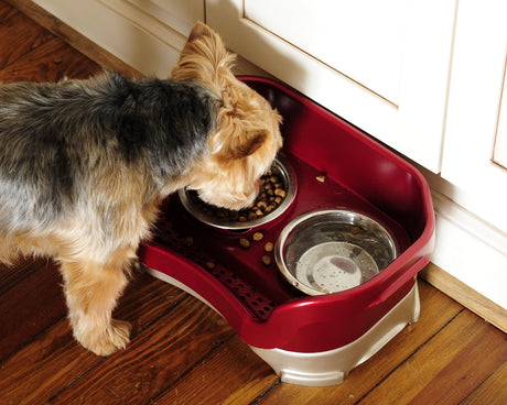 6 Best Dog Bowls for Messy Drinkers