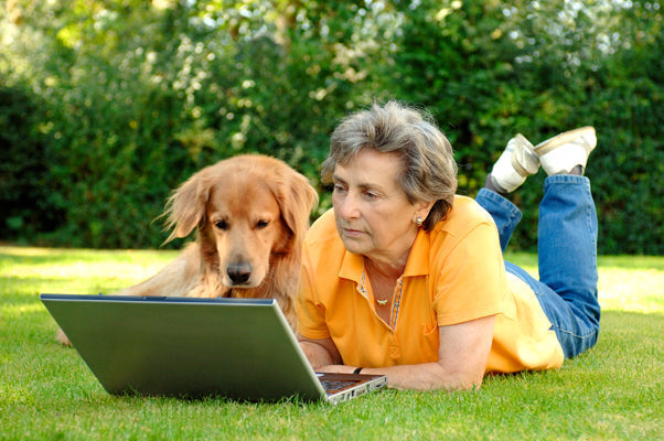 20 Great Gadgets Every Dog Owner Needs (Updated 2020)