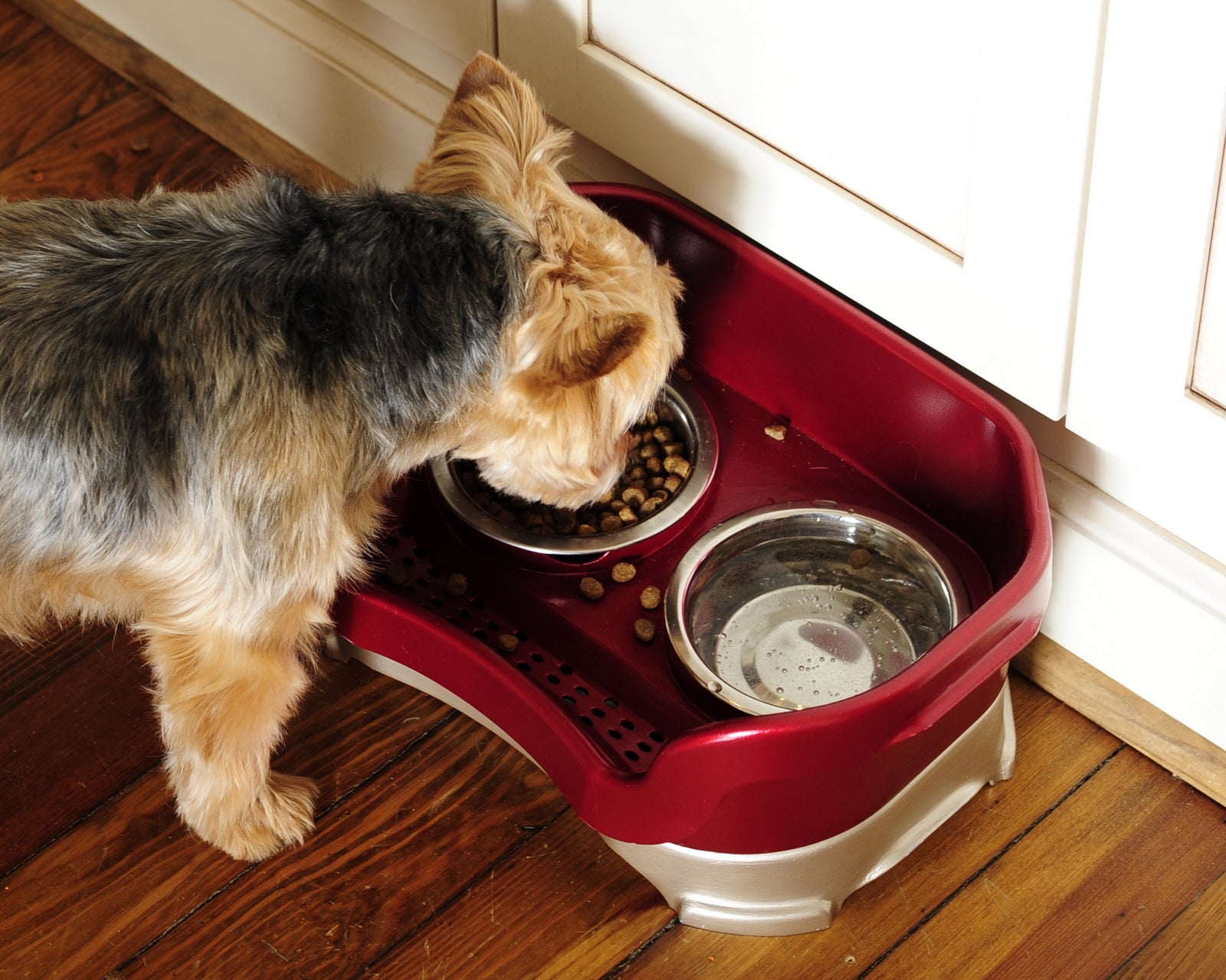 Repurposed DIY Dog Bowl Stand  Dog food stands, Dog bowls, Diy dog stuff