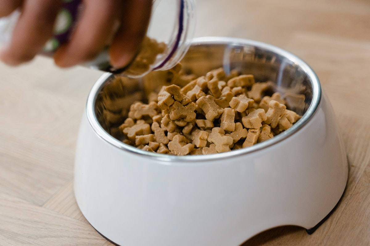 Dog food clearance in a bowl