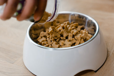 Dog food pouring into bowl 